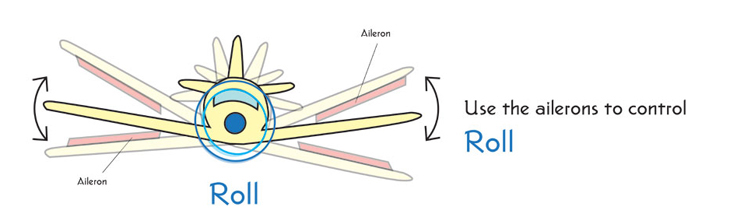 Aircraft roll diagram