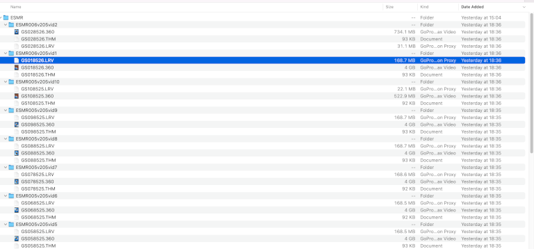 GoPro LRV and THM Files
