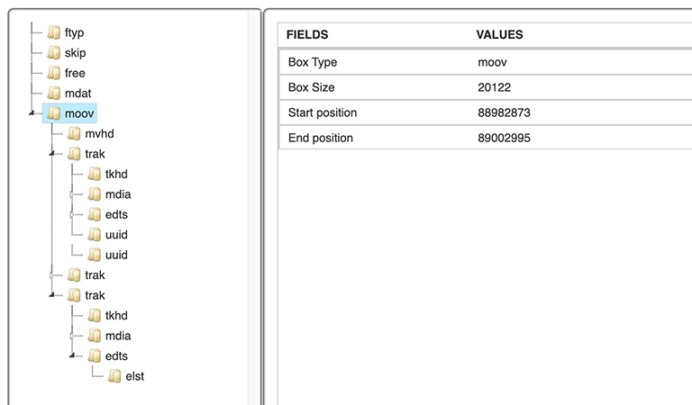 mp4 root boxes