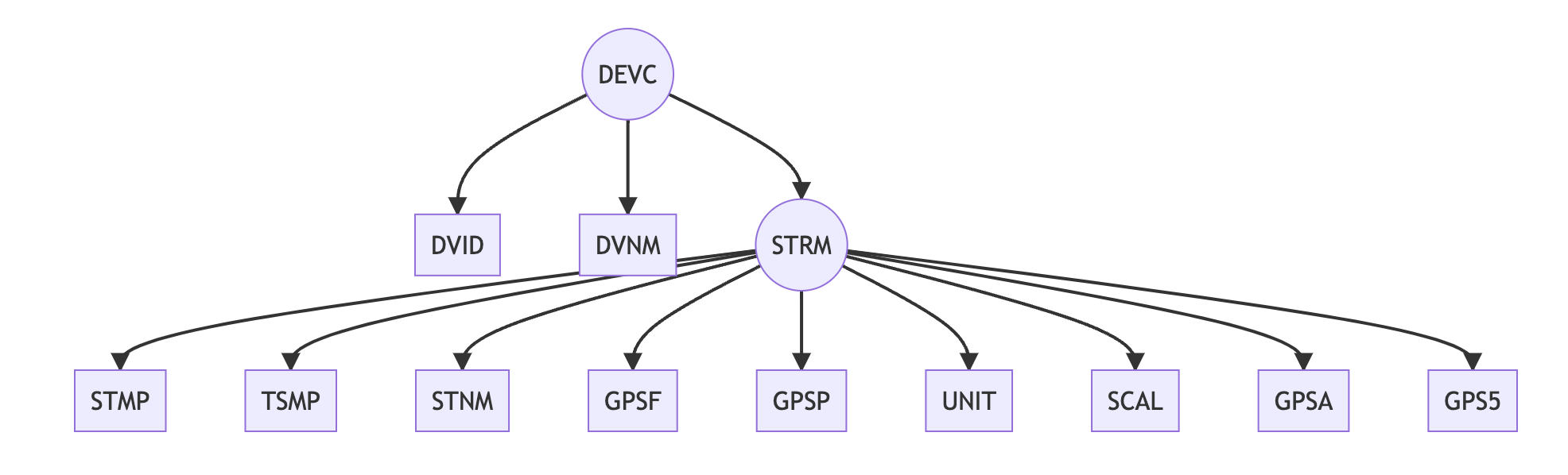 GoPro MAX GPMF DEVC tree